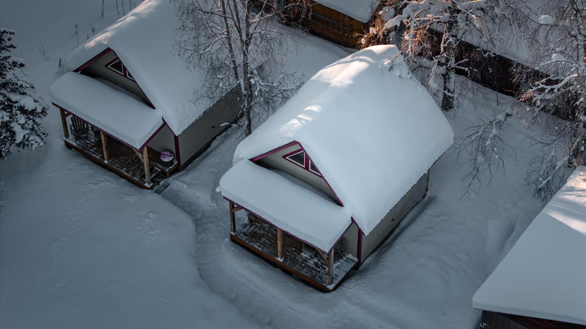 Downtown Talkeetna Cabin! Susitna Cabin Esterno foto